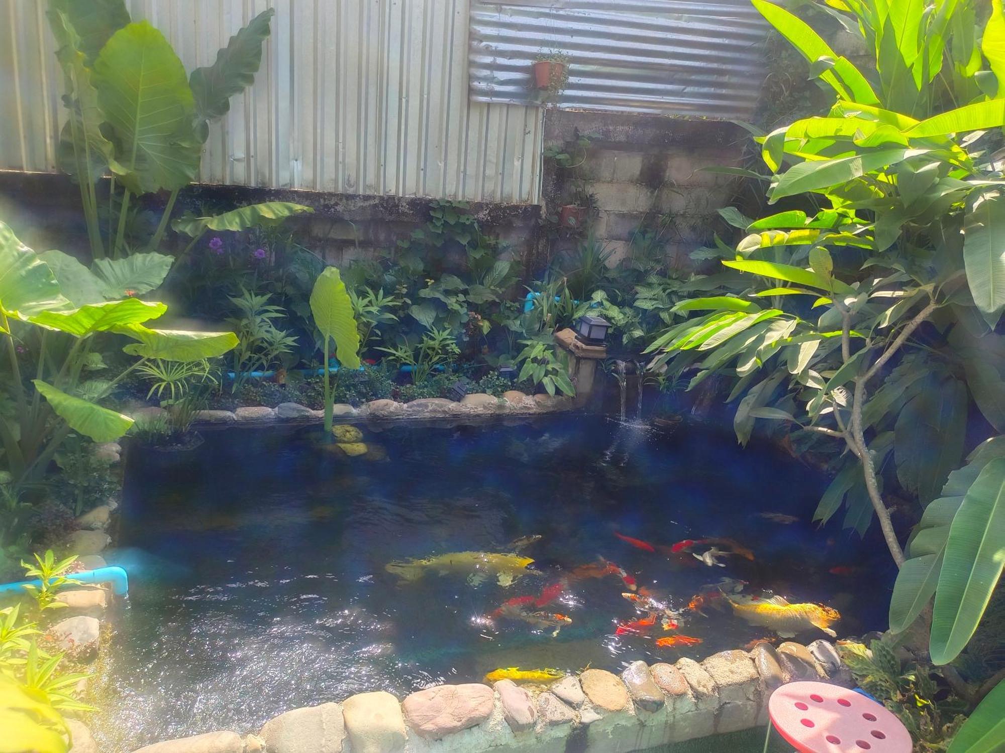 Vang Vieng Champa Hotel Extérieur photo